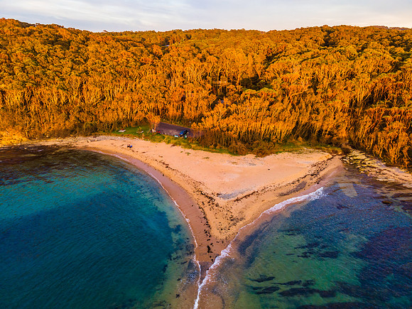 Aerial Sunrise at the Bay tucked into the Forrest.