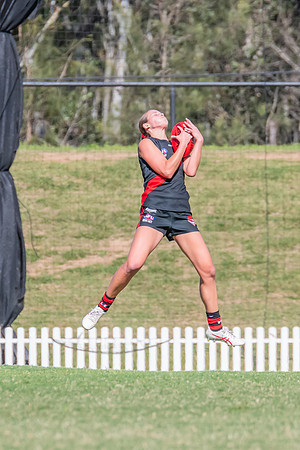 WPD Elimination Final - North Shore v Sydney Uni - 1 September 2