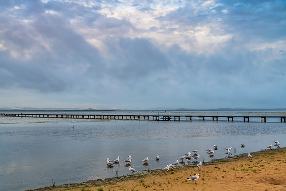 Rainy day sunrise waterscape with wharf and seagulls