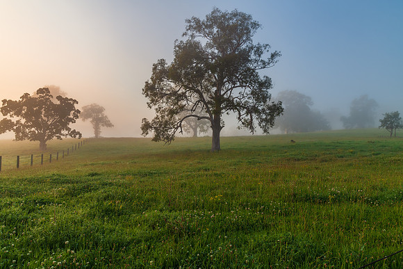 Rural Countryside in the early morning light