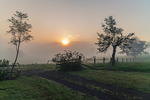 Sunrise in the country with thick early morning mist
