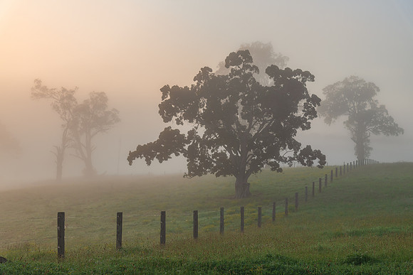 Rural Countryside in the early morning light
