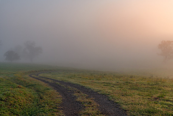 Sunrise in the country with thick early morning mist