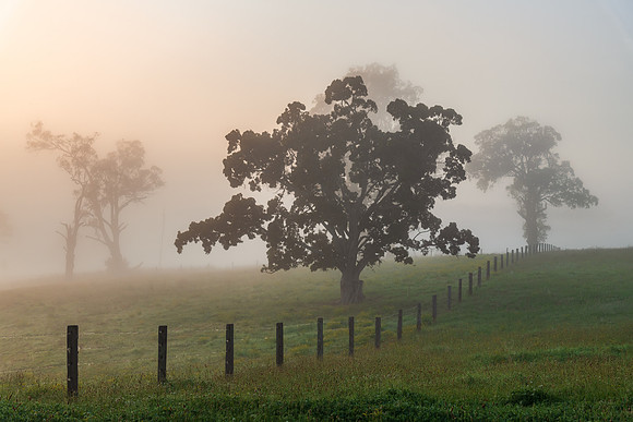 Rural Countryside in the early morning light