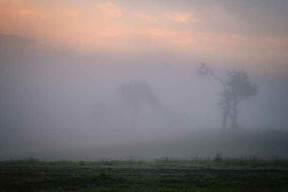 Sunrise in the country with thick early morning mist