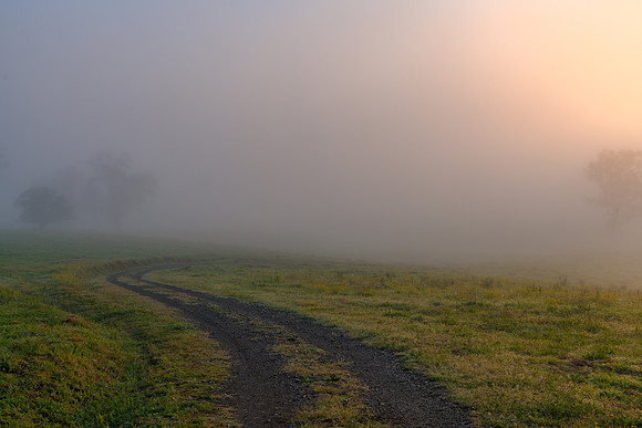 Sunrise in the country with thick early morning mist