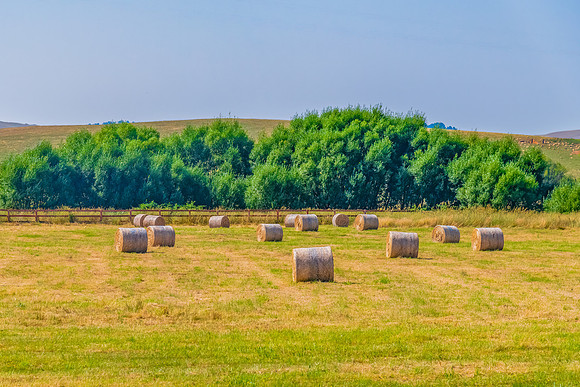 Rural scenery in the Summer around Blayney in the Central West o