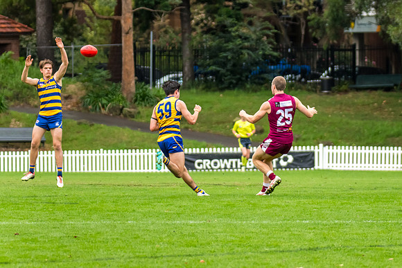 Rd 3 MPD - Sydney Uni v Manly-Warringah - 20 April 2024