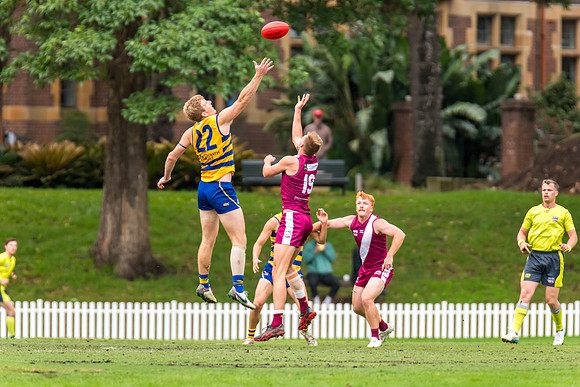 Rd 3 MPD - Sydney Uni v Manly-Warringah - 20 April 2024