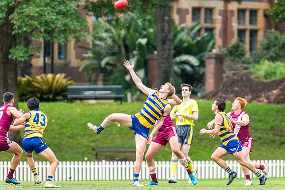 Rd 3 MPD - Sydney Uni v Manly-Warringah - 20 April 2024
