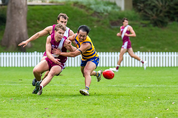 Rd 3 MPD - Sydney Uni v Manly-Warringah - 20 April 2024
