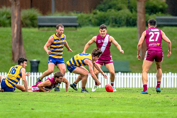 Rd 3 MPD - Sydney Uni v Manly-Warringah - 20 April 2024