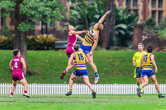 Rd 3 MPD - Sydney Uni v Manly-Warringah - 20 April 2024