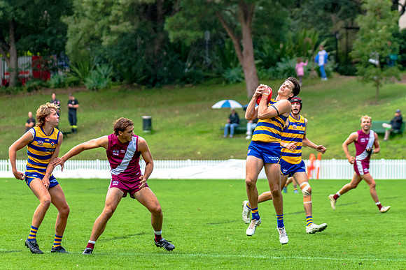 Rd 3 MPD - Sydney Uni v Manly-Warringah - 20 April 2024