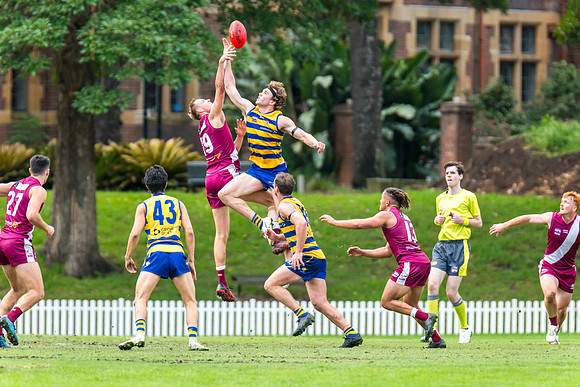Rd 3 MPD - Sydney Uni v Manly-Warringah - 20 April 2024