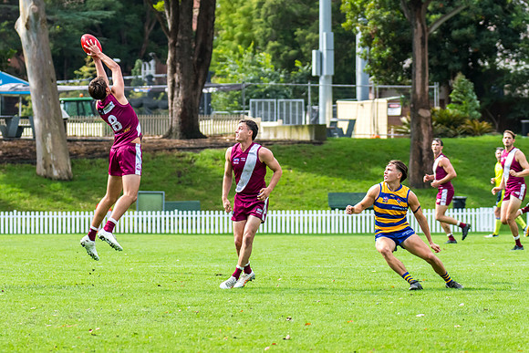 Rd 3 MPD - Sydney Uni v Manly-Warringah - 20 April 2024