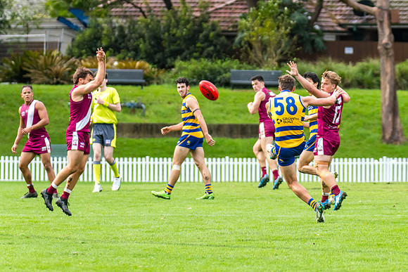 Rd 3 MPD - Sydney Uni v Manly-Warringah - 20 April 2024