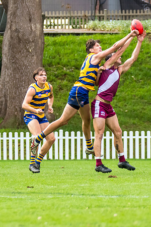 Rd 3 MPD - Sydney Uni v Manly-Warringah - 20 April 2024