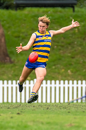 Rd 3 MPD - Sydney Uni v Manly-Warringah - 20 April 2024