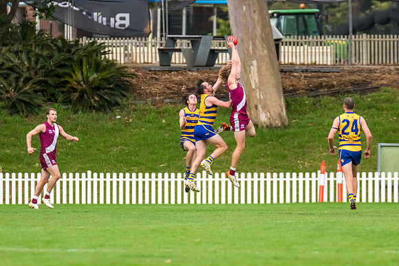 Rd 3 MPD - Sydney Uni v Manly-Warringah - 20 April 2024
