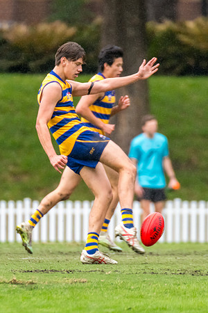 Rd 3 MPD - Sydney Uni v Manly-Warringah - 20 April 2024