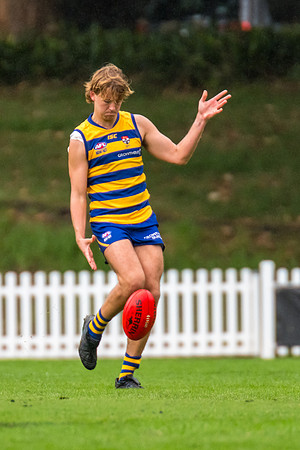 Rd 3 MPD - Sydney Uni v Manly-Warringah - 20 April 2024