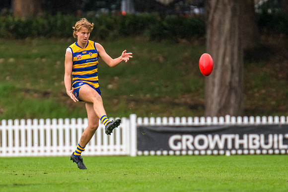 Rd 3 MPD - Sydney Uni v Manly-Warringah - 20 April 2024