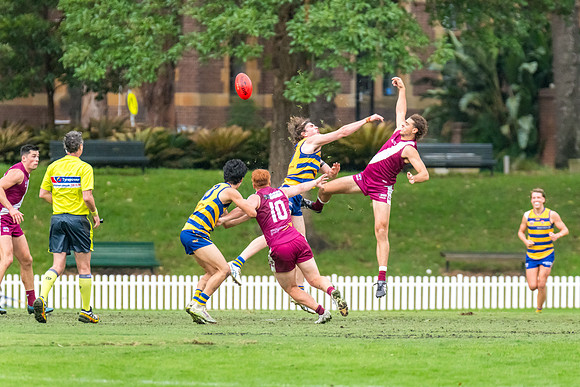 Rd 3 MPD - Sydney Uni v Manly-Warringah - 20 April 2024
