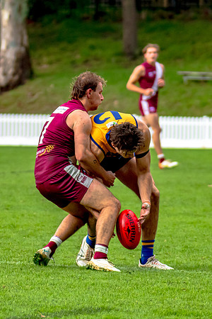 Rd 3 MPD - Sydney Uni v Manly-Warringah - 20 April 2024