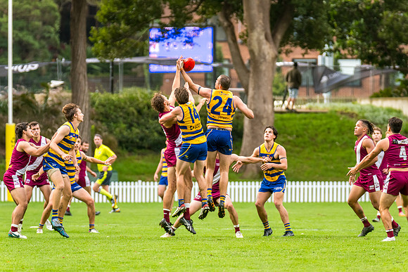 Rd 3 MPD - Sydney Uni v Manly-Warringah - 20 April 2024