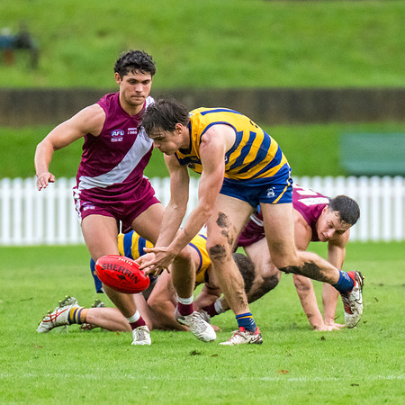 Rd 3 MPD - Sydney Uni v Manly-Warringah - 20 April 2024