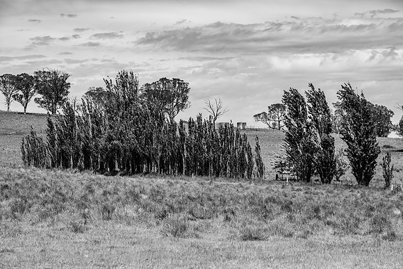 On the Farm: Rural countryside in monochrome