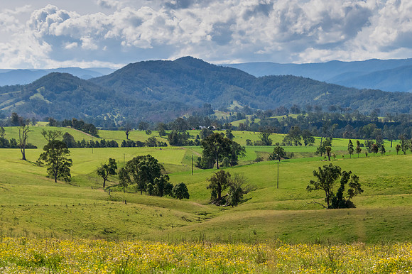 Rural landscape with paddocks and rolling hills
