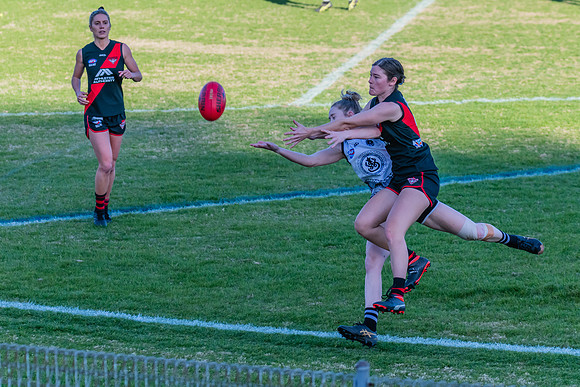 WPD Elimination Final - North Shore v Inner West - 7 August 2022