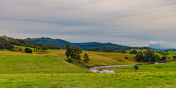 Rural landscape with paddocks and rolling hills