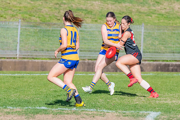 WPD Minor Semi Final - Sydney University v North Shore Bombers - 14 August 2022