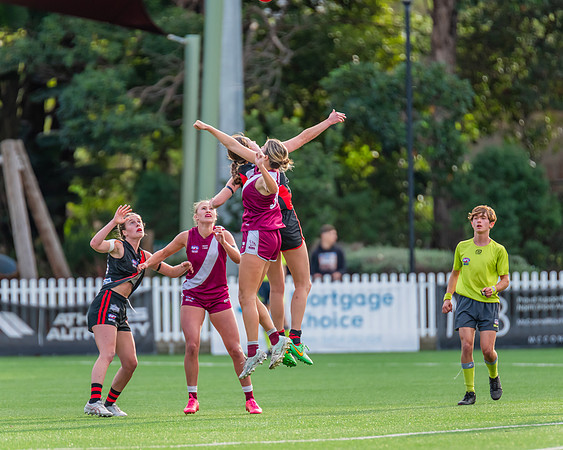 Rd 1 WPD - North Shore v Manly Warringah - 8 June 2024