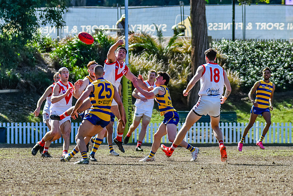 Rd 15 MPD - Sydney Uni v St George - 22 July 2023