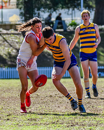 Rd 15 MPD - Sydney Uni v St George - 22 July 2023