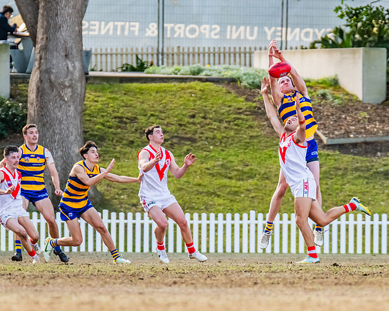 Rd 15 MPD - Sydney Uni v St George - 22 July 2023