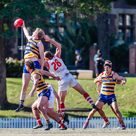 Rd 15 MPD - Sydney Uni v St George - 22 July 2023