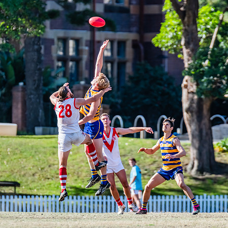 Rd 15 MPD - Sydney Uni v St George - 22 July 2023