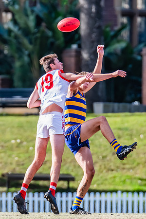 Rd 15 MPD - Sydney Uni v St George - 22 July 2023