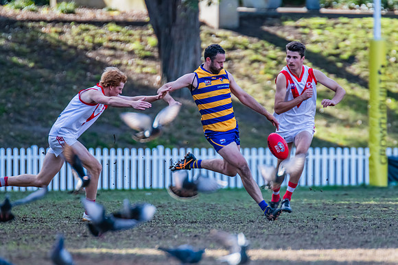 Rd 15 MPD - Sydney Uni v St George - 22 July 2023