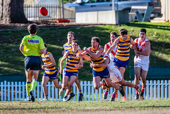 Rd 15 MPD - Sydney Uni v St George - 22 July 2023