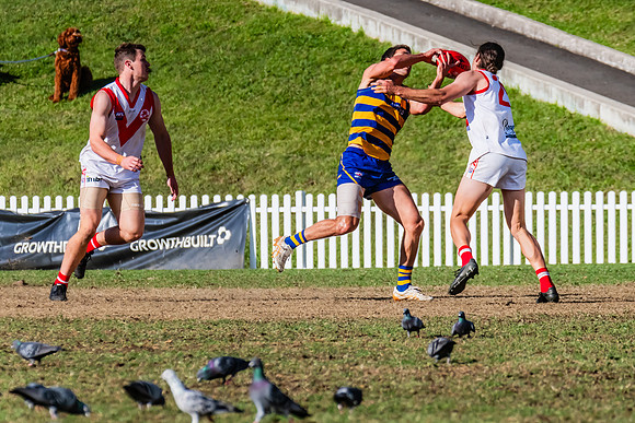 Rd 15 MPD - Sydney Uni v St George - 22 July 2023
