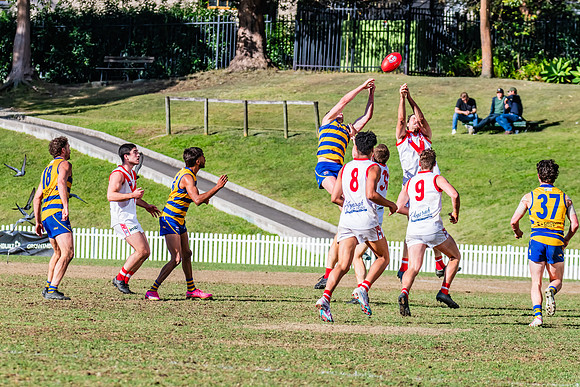 Rd 15 MPD - Sydney Uni v St George - 22 July 2023