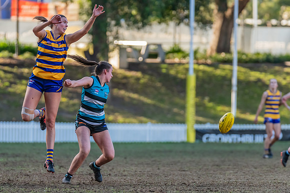 Rd 15 WPD - Sydney Uni v Southern Power - 22 July 2023