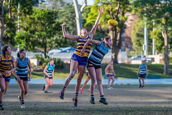 Rd 15 WPD - Sydney Uni v Southern Power - 22 July 2023