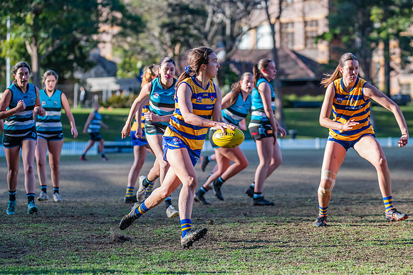 Rd 15 WPD - Sydney Uni v Southern Power - 22 July 2023
